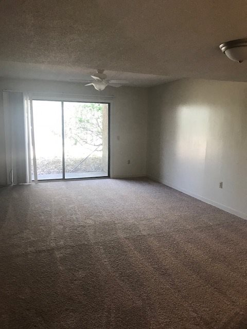 Gallery Photo 2